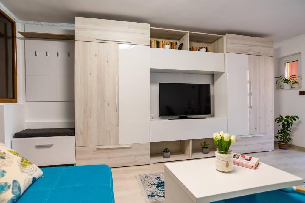 Cozy House With Nice Garden In Heart Of City Center Villa Cluj-Napoca Buitenkant foto