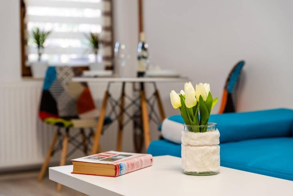 Cozy House With Nice Garden In Heart Of City Center Villa Cluj-Napoca Buitenkant foto
